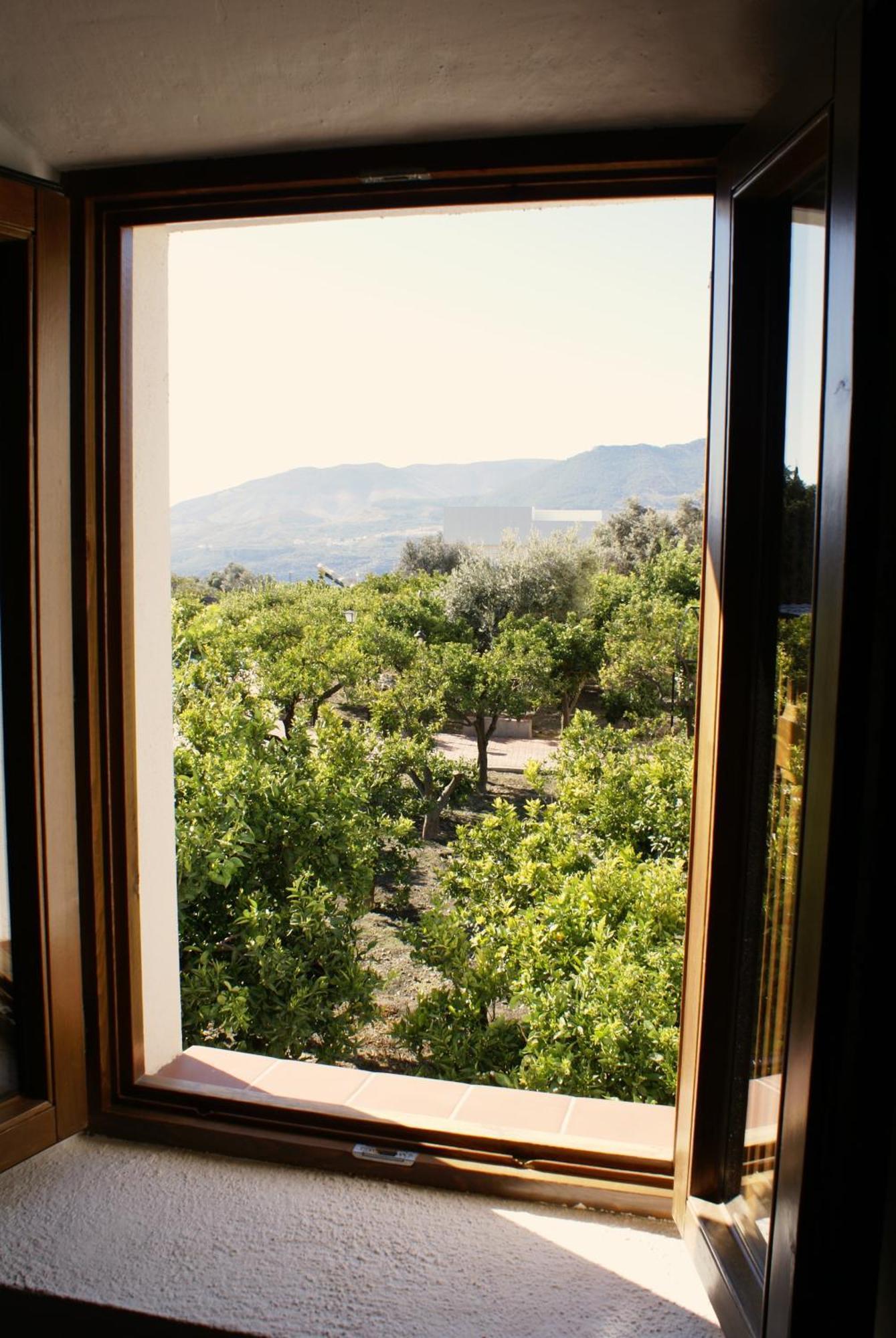 La Canota 2-Floors King Rooms Adults Only Talara 객실 사진